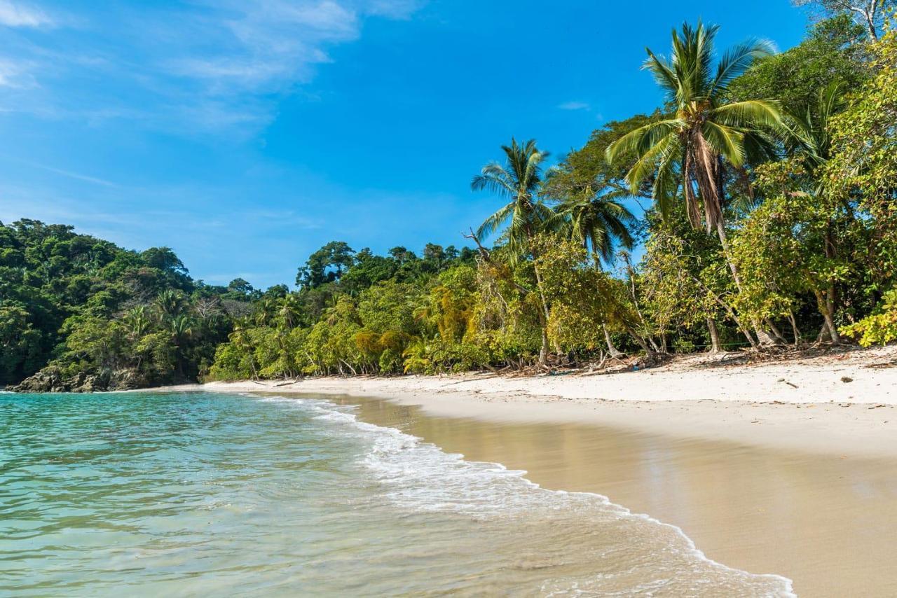 Kikazaru Beautiful Boutique Hotel With Pool (Adults Only) Manuel Antonio Luaran gambar